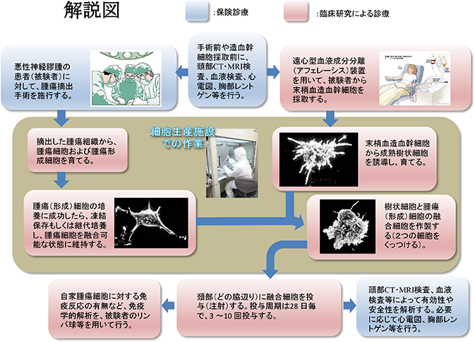 解説図